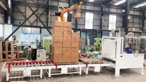 Singapore pallet auto feeder&Palletizer Robot Line Inspection Site