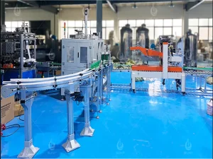 Russian case packing line test site