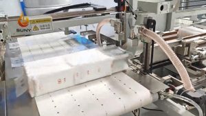 chinapack Intelligent Secondary Packaging Machine