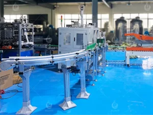 What machines does the case packing line include?