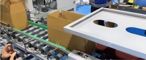Case Packeing Palletizing Lines operation video