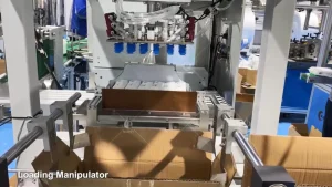 Case Packer operation video