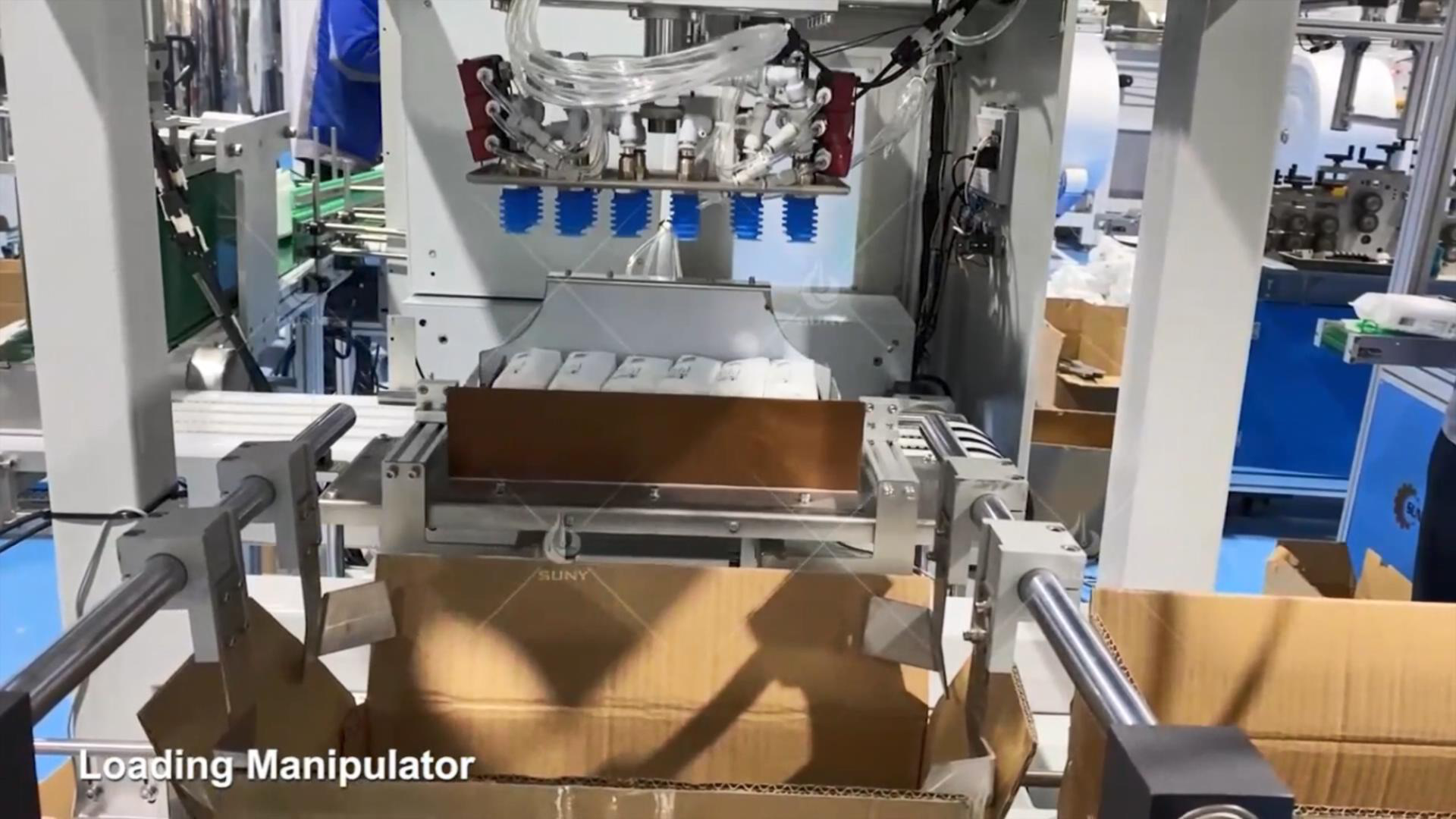 Case Packer