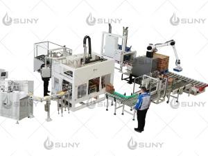 How case packeing  palletizing lines work?