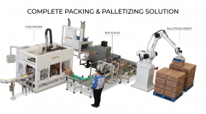 What is a carton box packer machine?